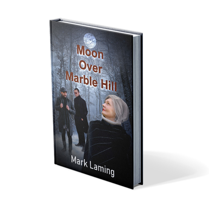 Moon Over Marble Hill book cover